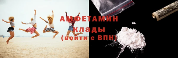 прущие грибы Семилуки