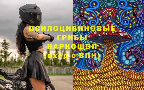 метадон Снежногорск