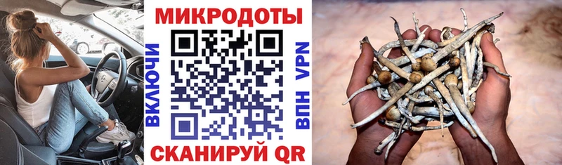 Галлюциногенные грибы MAGIC MUSHROOMS  OMG рабочий сайт  Нея  где продают  